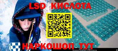 прущие грибы Обнинск