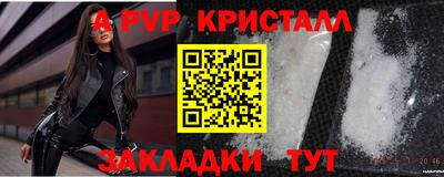 прущие грибы Обнинск