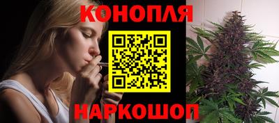 Альфа ПВП Обь