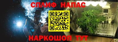 Альфа ПВП Обь