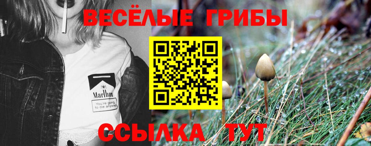 Псилоцибиновые грибы Magic Shrooms  Вход с VPN  Славгород 